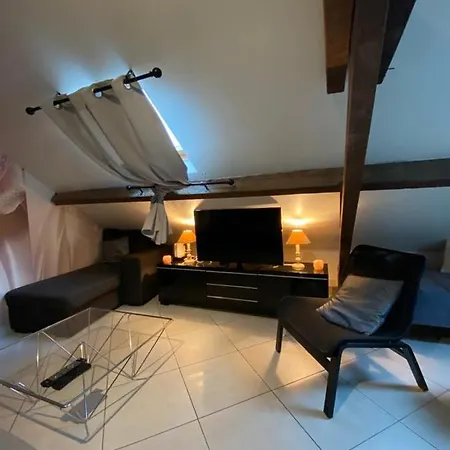 Apartment Cosy A 35 Mn De Paris. *